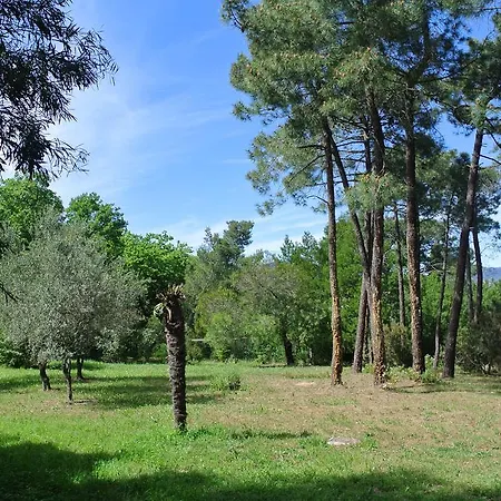 Les Rives De St Tropez * 圣特罗佩